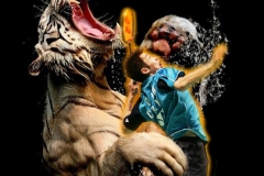 Tiger-Concept